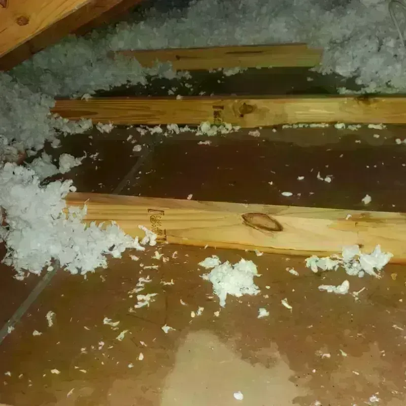 Attic Water Damage in Silver Grove, KY